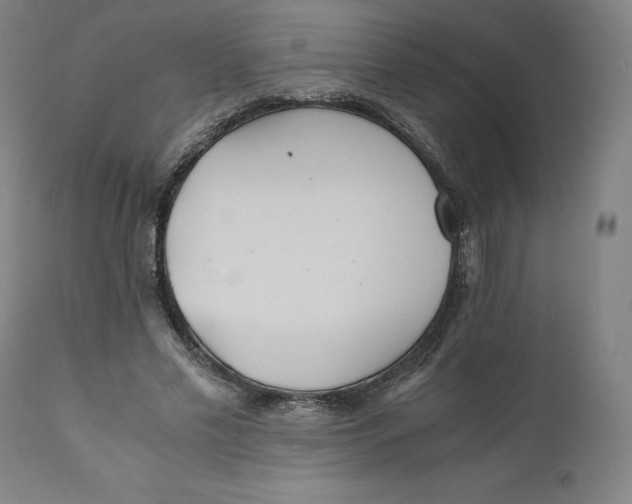 X0000110690589200907021936