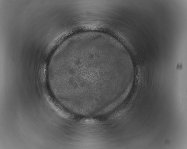 X0000110690590200907021936