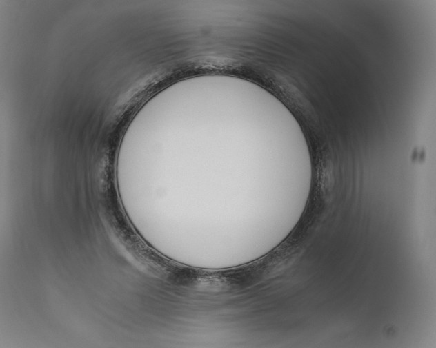 X0000110690591200907021936