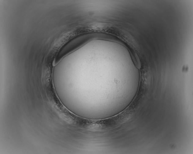 X0000110690593200907021936