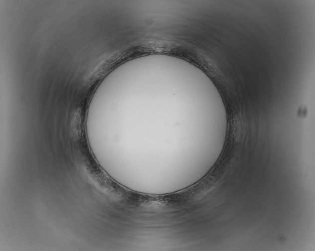 X0000110690594200907021936