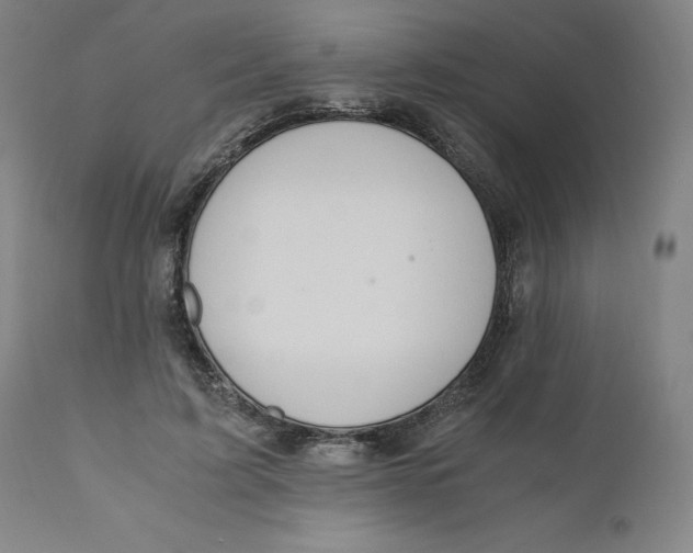 X0000110690595200907021936