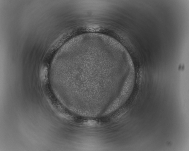 X0000110690598200907021936