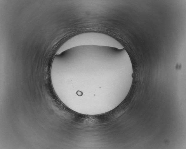 X0000110690599200907021936