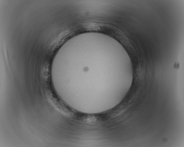 X0000110690600200907021936