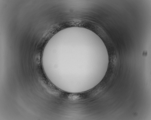 X0000110690602200907021935