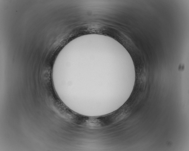 X0000110690603200907021935