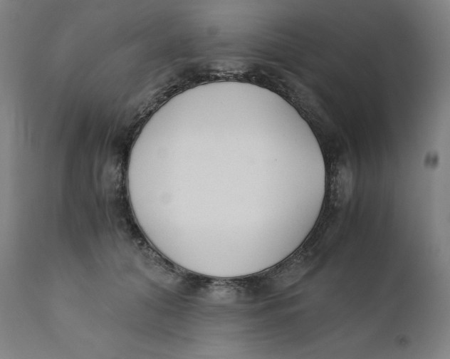 X0000110690608200907021935