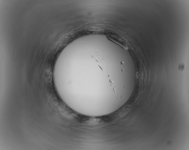 X0000110690609200907021935