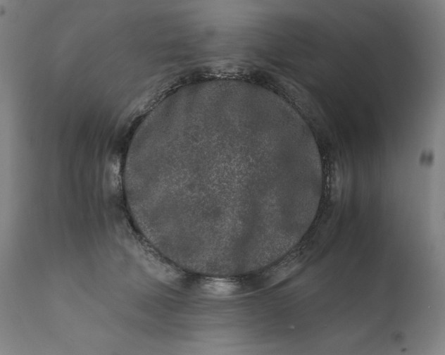 X0000110690610200907021935