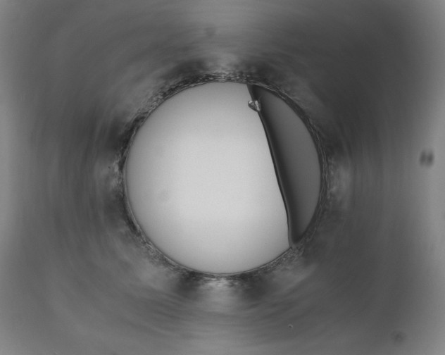 X0000110690611200907021935