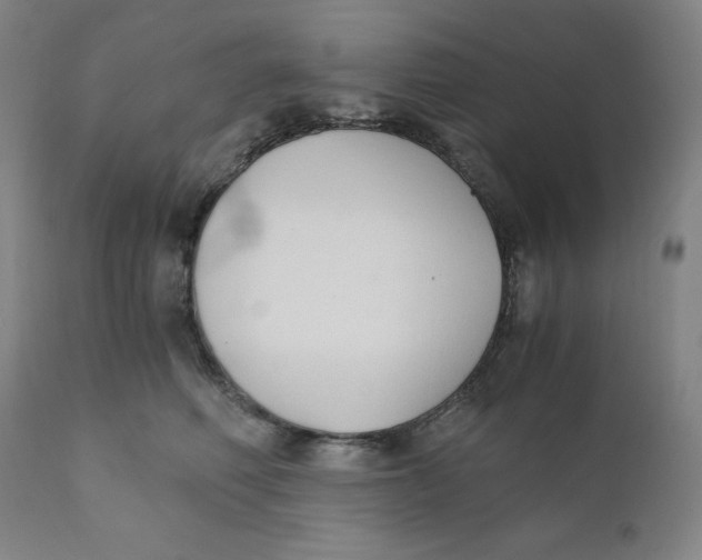 X0000110690614200907021935