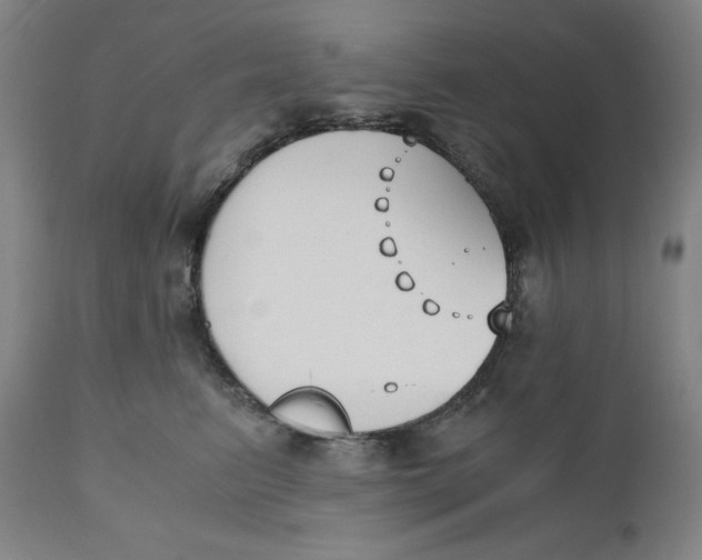 X0000110690615200907021935