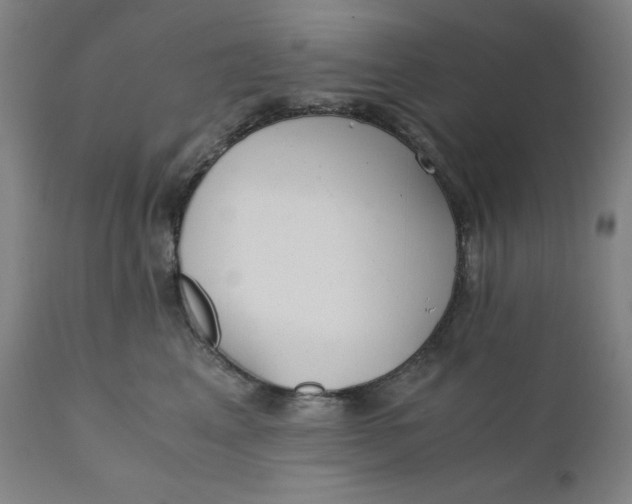 X0000110690617200907021935