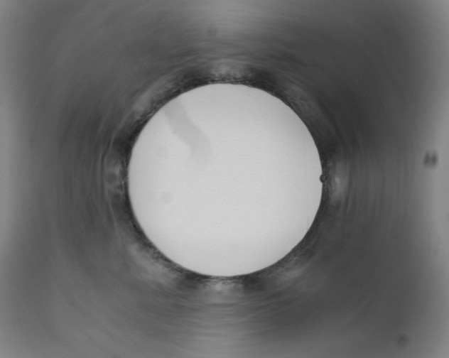 X0000110690619200907021935