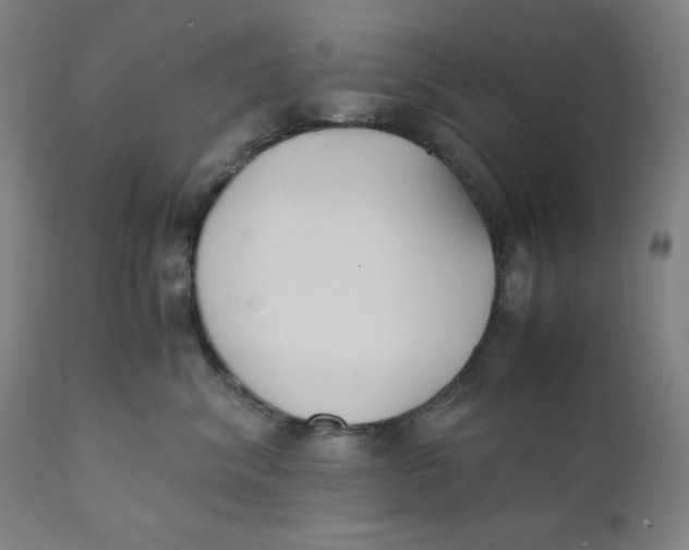 X0000110690620200907021935