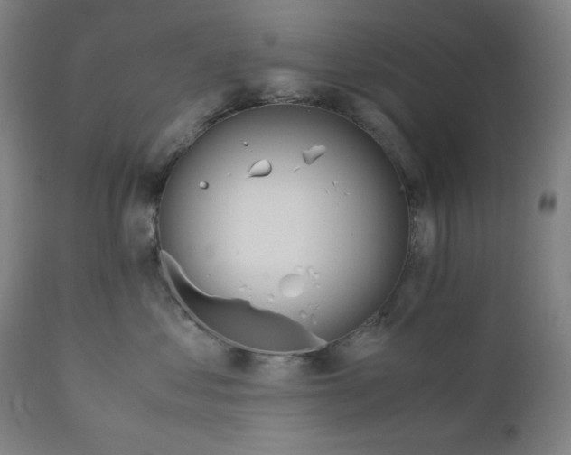 X0000110690621200907021935