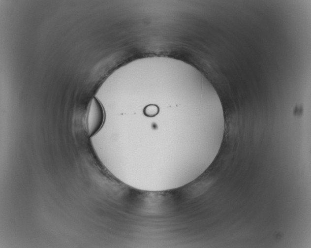 X0000110690623200907021935