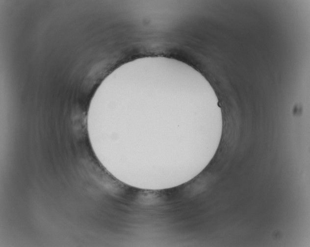 X0000110690624200907021935