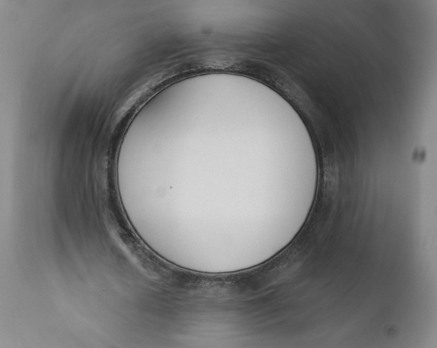 X0000110690626200907021934