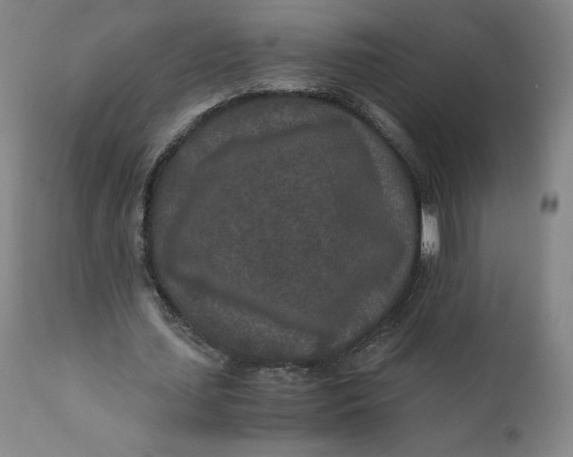 X0000110690627200907021934