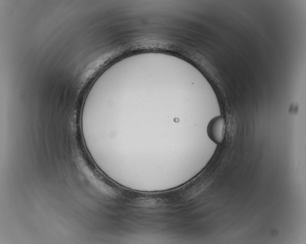 X0000110690629200907021934