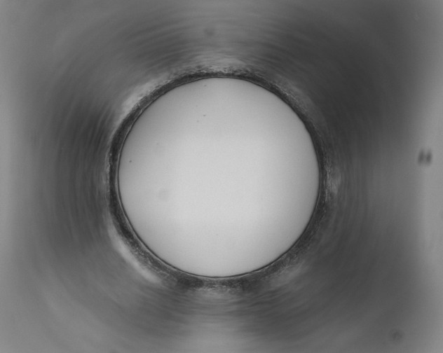 X0000110690630200907021934