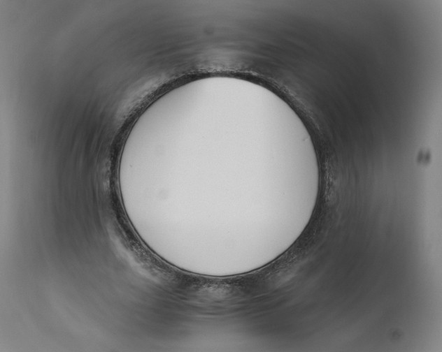 X0000110690631200907021934