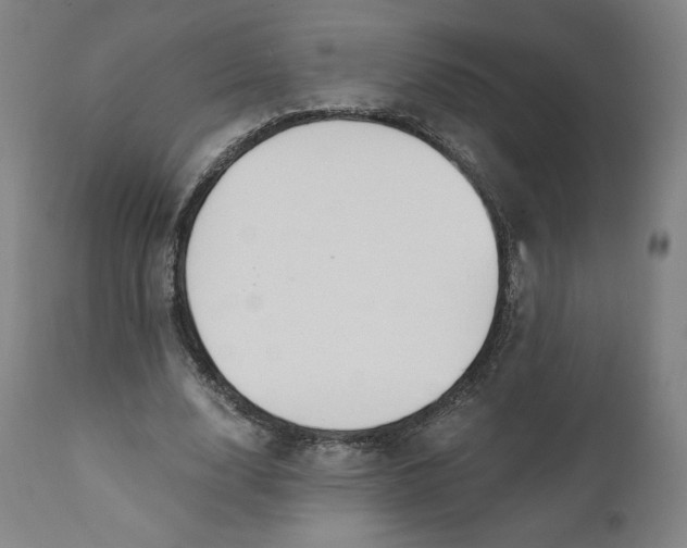 X0000110690632200907021934