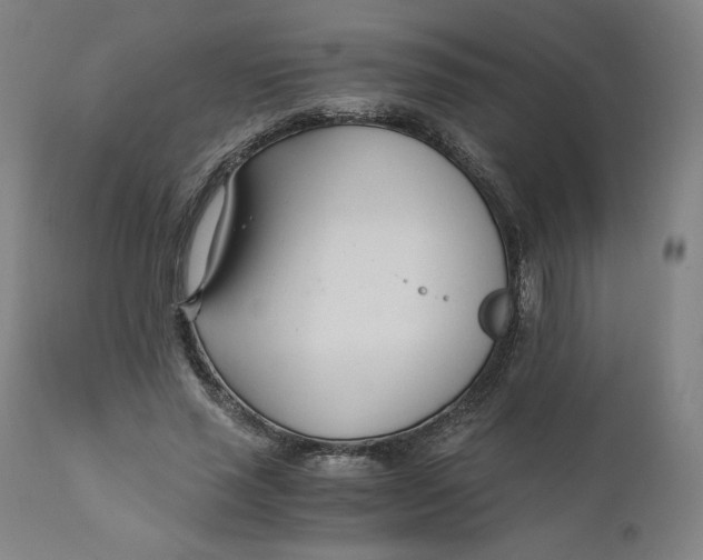 X0000110690637200907021934