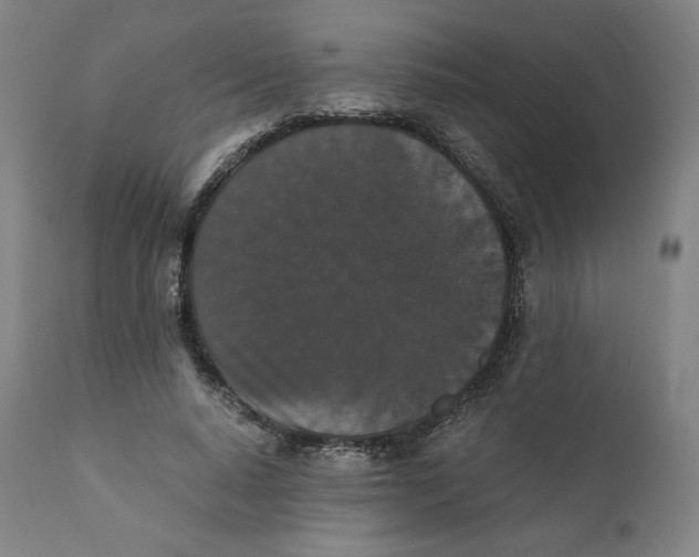 X0000110690640200907021935