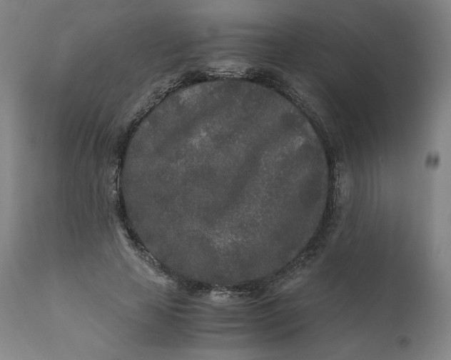 X0000110690641200907021935