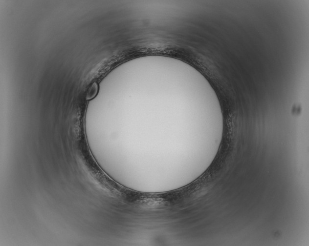 X0000110690642200907021935