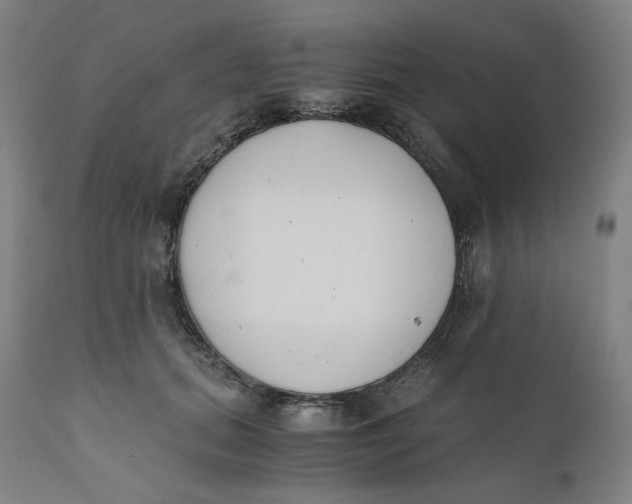 X0000110690655200907021935