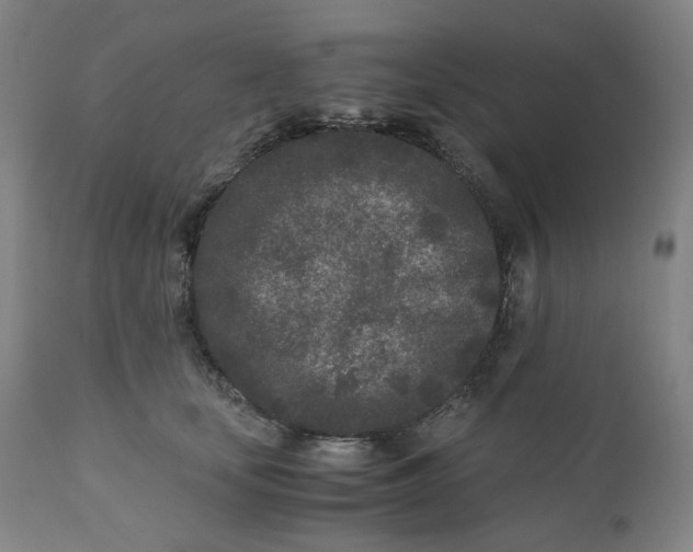 X0000110690659200907021935