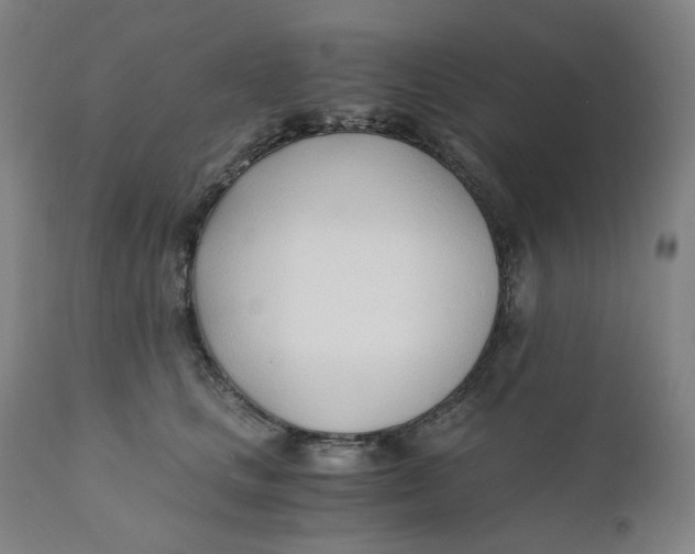 X0000110690661200907021935