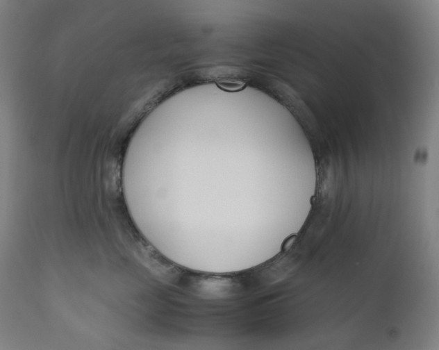 X0000110690669200907021935