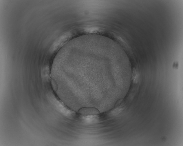 X0000110690670200907021935