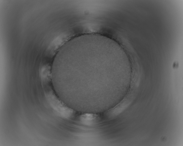 X0000110690672200907021935