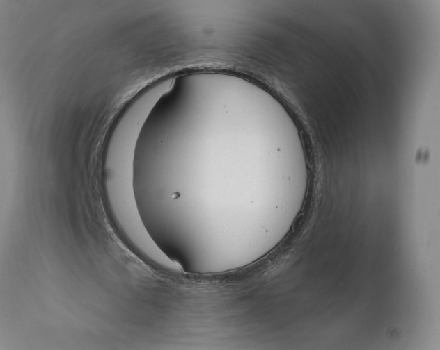 X0000110690673200907021934