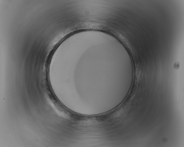 X0000110690674200907021934