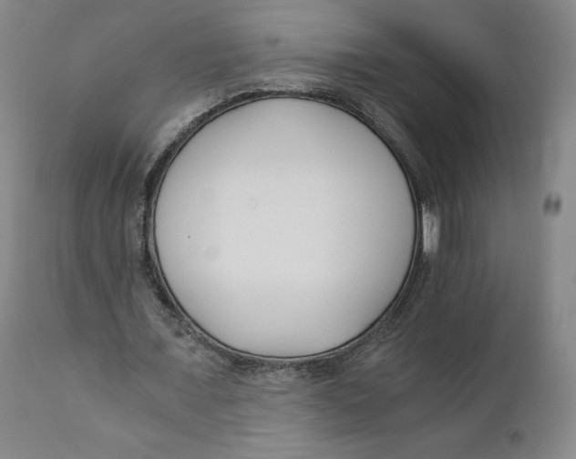 X0000110690675200907021934