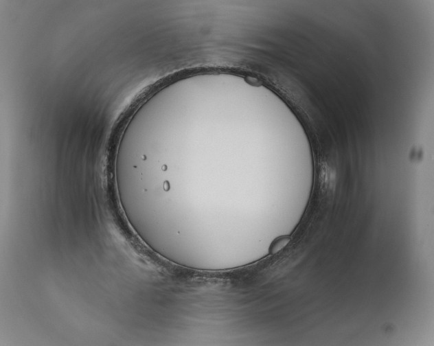 X0000110690676200907021934