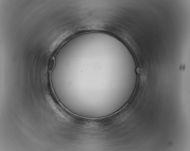 X0000110690677200907021934