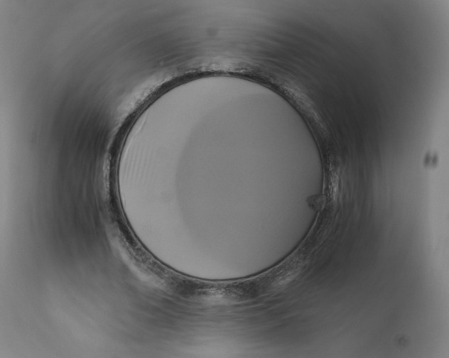 X0000110690678200907021934