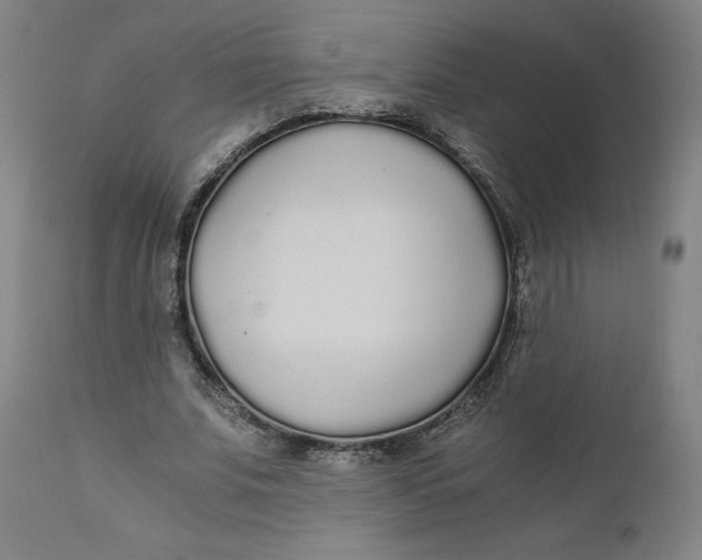 X0000110690679200907021934