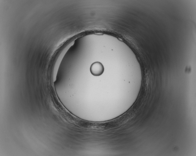 X0000110690680200907021934