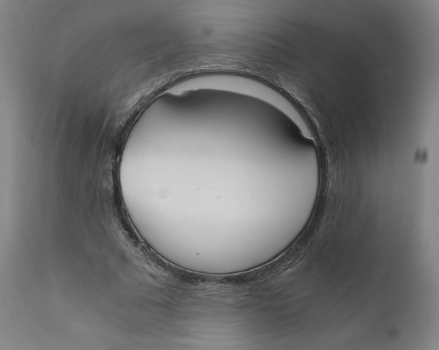 X0000110690681200907021934