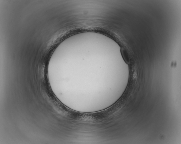 X0000110690685200907021934