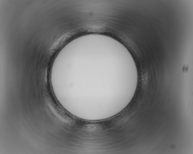 X0000110690686200907021934